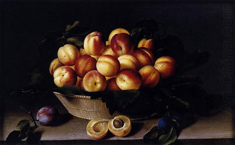 Louise Moillon Basket of Apricots oil painting picture